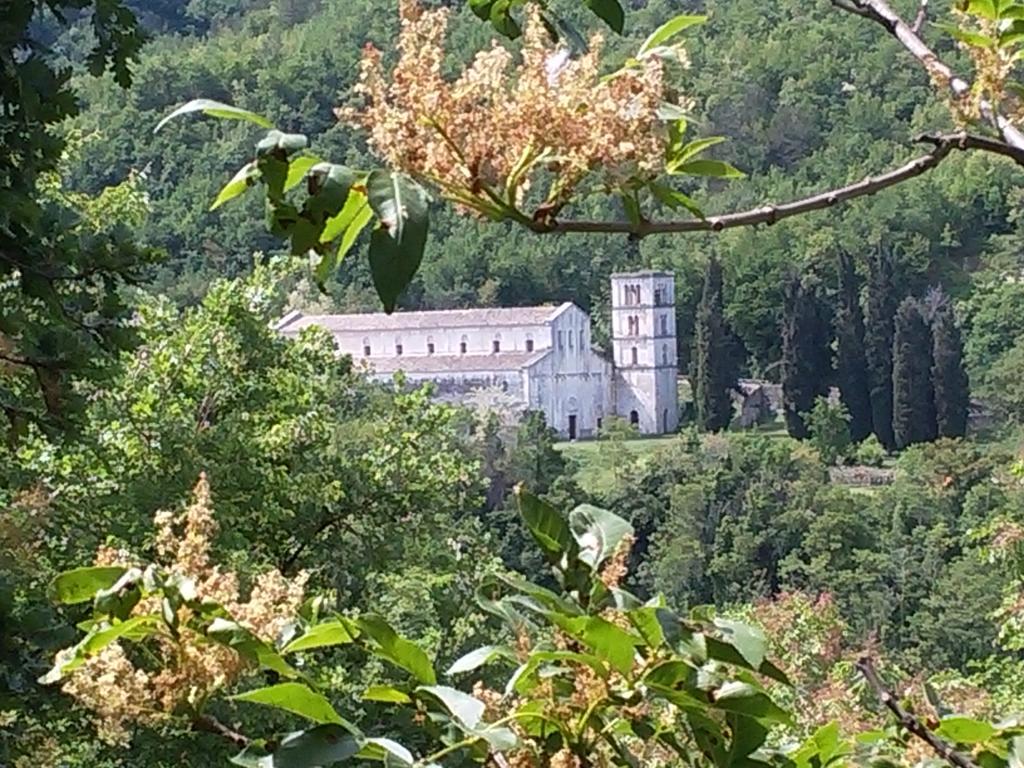 Le Pietre Ricce B&B Roccamontepiano المظهر الخارجي الصورة